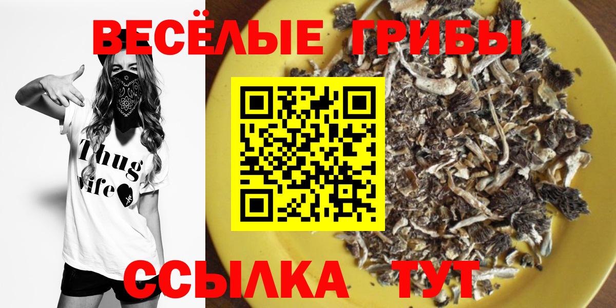 Орехово-Зуево  Галлюциногенные грибы ЛСД  Вход с VPN  Псилоцибиновые грибы прущие грибы 