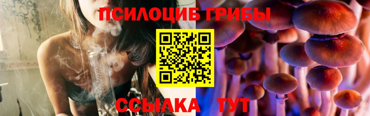 Псилоцибиновые грибы GOLDEN TEACHER Орехово-Зуево